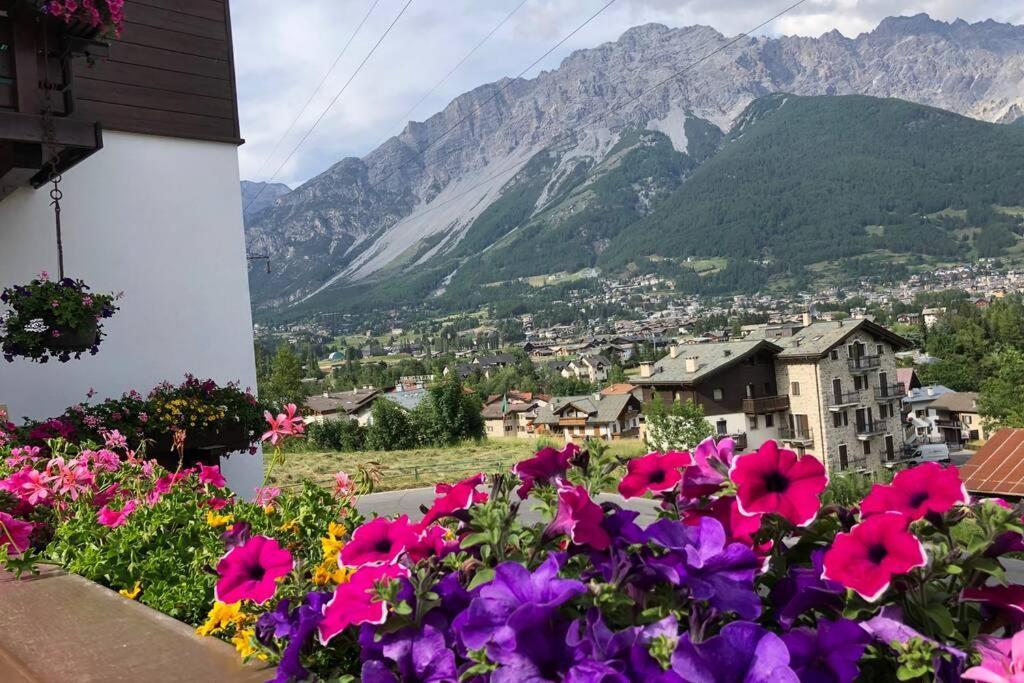 Appartamento A Due Passi Da Bormio 瓦尔蒂索托 外观 照片