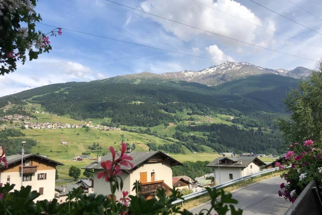 Appartamento A Due Passi Da Bormio 瓦尔蒂索托 外观 照片