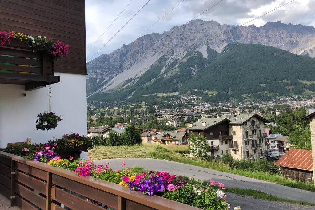 Appartamento A Due Passi Da Bormio 瓦尔蒂索托 外观 照片